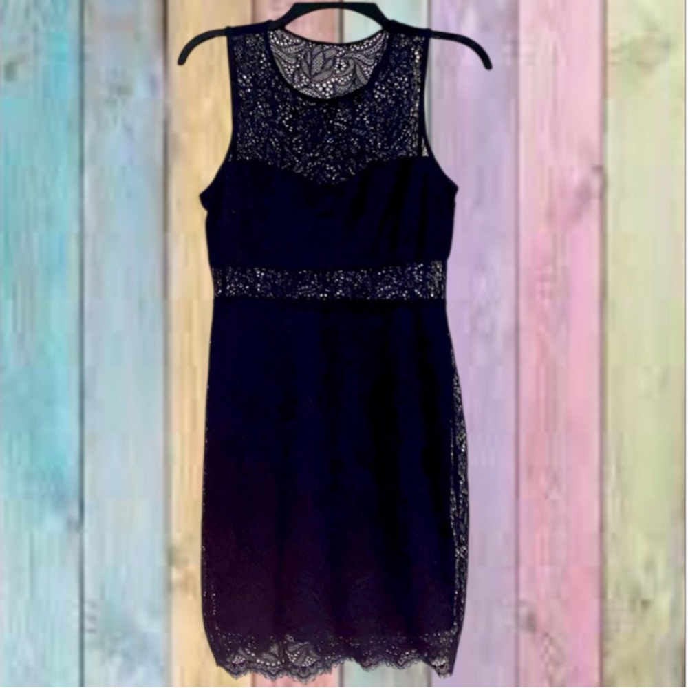 Express Black Sleeveless Lined Lace Dress